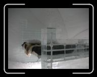 0212_0301 Sverige 140 * 800 x 600 * (26KB)